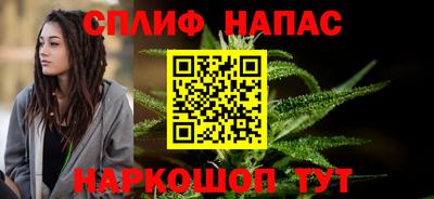 СК Пенза