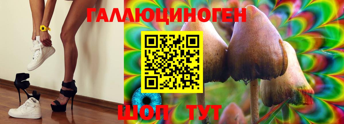 Славянск-на-Кубани  Псилоцибиновые грибы ЛСД  Вход с VPN 